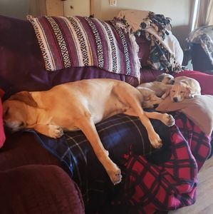 Meet your Posher, Jodi